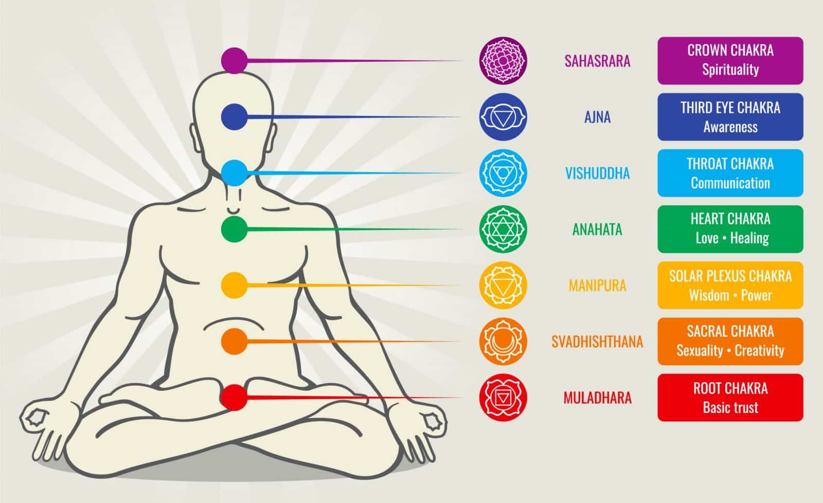 The 7 Chakras